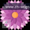 问鼎娱乐 logo