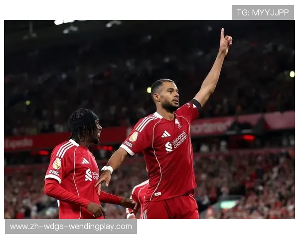 法国籍球员在英超效力的主要代表有哪些？