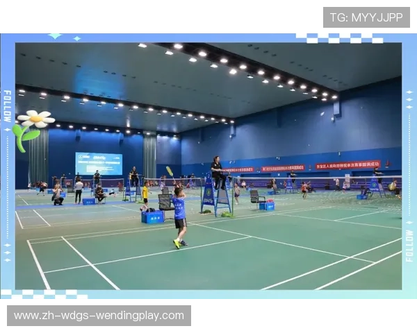 羽毛球实力提升