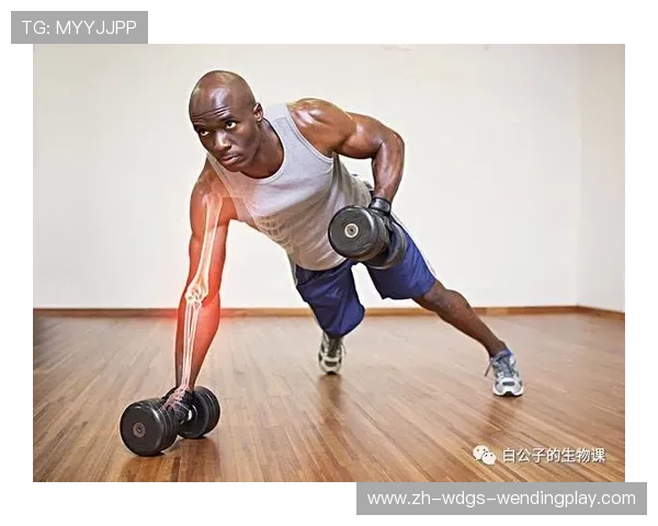 自己动手做哑铃：DIY健身器材与家庭体育训练指南