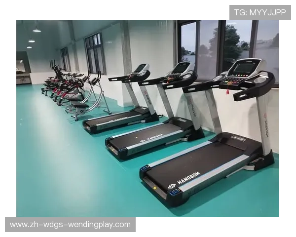 附近健身器材公司:如何找到附近优质的健身器材公司 附近健身器材公司:如何找到附近优质的健身器材公司