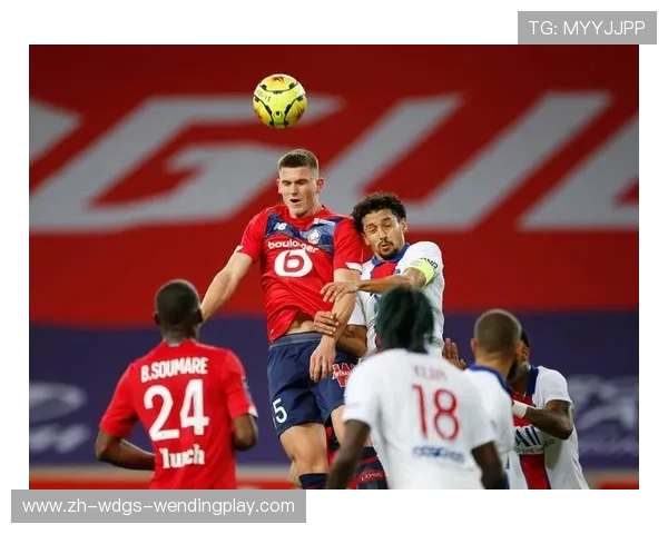 里昂法甲球员阵容分析及球队表现