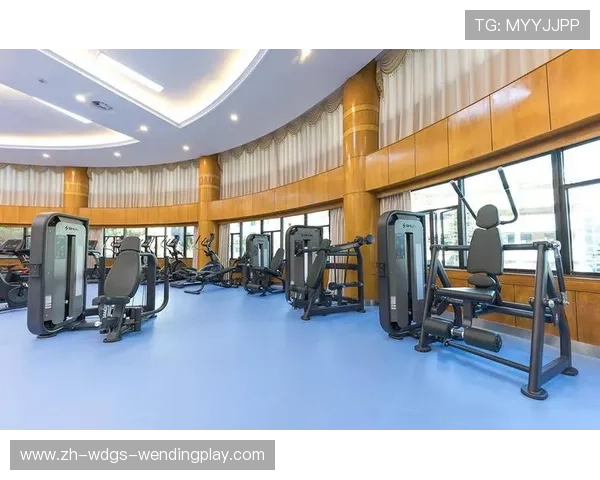 健身器材最全分类汇总及适用场景建议